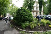 uczniowie pielęgnują klomb przed budynkiem cieszyńskiej komendy