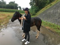 policjanci i odnaleziony koń