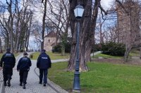 patrol policji i straży miejskiej , funkcjonariusze idą, widok z tyłu