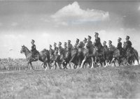 zdjęcie historyczne czarno białe- policjanci na koniach