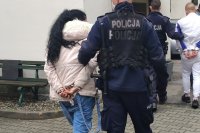 zdjęcie-policjanci prowadzą zatrzymanych. Po lewej kobieta w kajdankach na rękach z tyłu