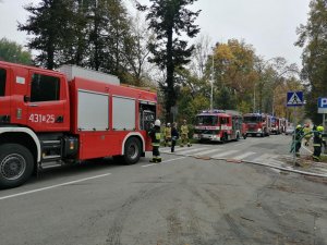 grafika-dzień, wozy bojowe straży pożarnej, przejście dla pieszych