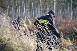 grafika -dzień, łąka, policjant w tle