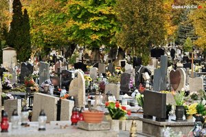 grafika-dzień, cmentarz, jesień