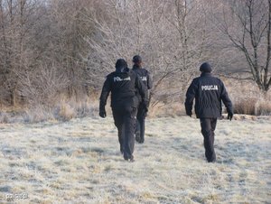zdjęcie, zima, policjanci w polu podczas poszukiwań