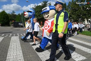 zdjęcie, dzień, przejście dla pieszych, policjant i maskotki