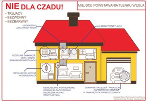 infografika związana z zagrożeniem opisanym w tekscie