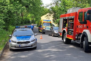 zdjęcie-dzień, słonecznie, droga, przejście dla pieszych , radiowóz policji, straży pożarnej i karetka