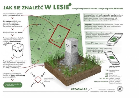 zdjęcie kolorowe przedstawiające grafikę z poradami o bezpiecznym grzybobraniu