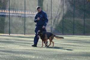 zdjęcie-dzień, boisko do piłki nożnej,pokaz policyjnej tresury psów