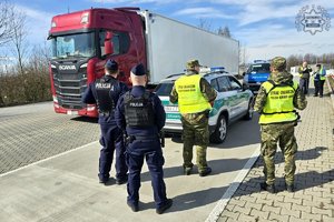zdjęcie-dzień, słonecznie, służby kontrolują tira