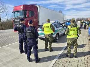 policjanci, straż graniczna, kontrolują tira, słonecznie, parking