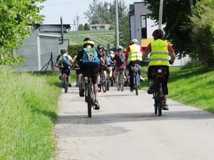 dzieci i opiekunowie jadą drogą na rowerach, słonecznie