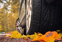 zdjęcie koła samochodu i jesiennych żółtych liści