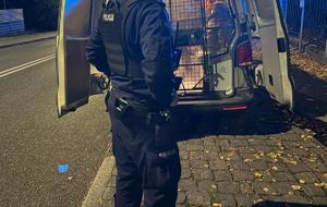 noc, osoba zatrzymana w kajdankach siedzi w radiowozie, policjant pilnuje radiowozu, oświetlenie sztuczne