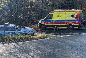 samochody pogotowia i policji w pobliżu lasu, dzień, pochmurno