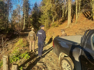 las, piękna pogoda, służby patrolują ścieżkę leśną