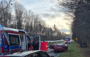 droga , służby ratownicze, uszkodzone auto, pochmurno, dzień