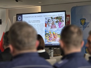 sala sesyjna, sztuczne światło, samorządowcy i policjanci zgromadzeni na sali siedzą i oglądają prezentację