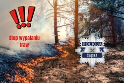 grafika płonącego lasu, widoczne wykrzykniki