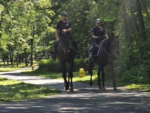 policjanci jadą konno na koniach służbowych, słońce, piękna pogoda