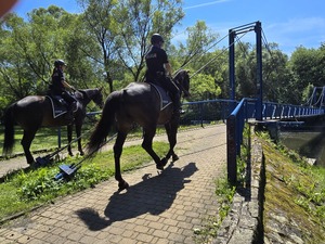 policjanci jadą konno na koniach służbowych, słońce, piękna pogoda