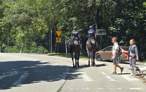 policjanci i konie, piękna pogoda