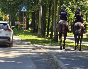 policjanci i konie, piękna pogoda