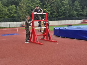 zdjęcia z olimpiady,